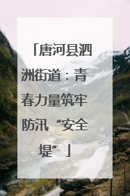 唐河县泗洲街道：青春力量筑牢防汛“安全堤”